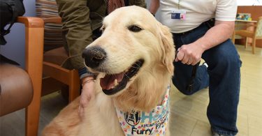 Gracie, a therapy dog, regularly visits the Georgia Cancer Center.