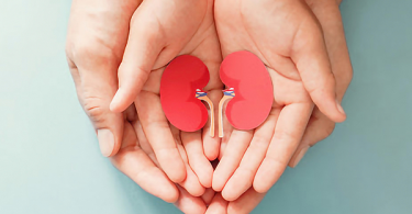 Parent holding child hands with kidneys